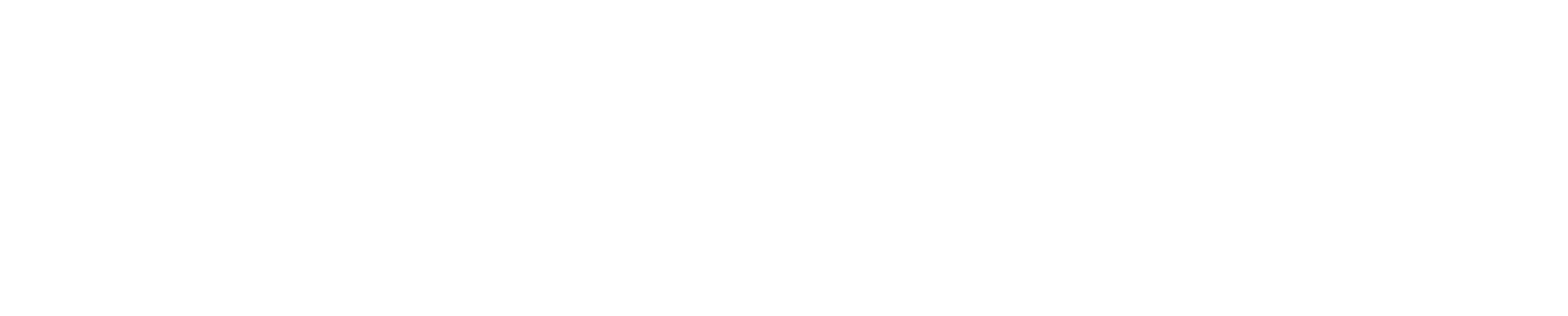 Bavulier Logo